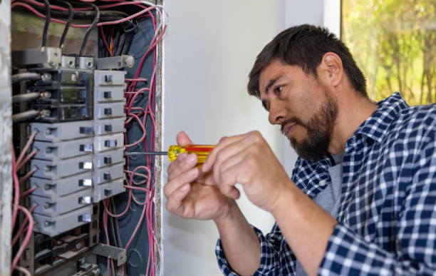 Best Electrical Repair Services  in Greenback, TN